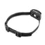 Pet Dog Anti Barking Waterproof Rechargeable Collar