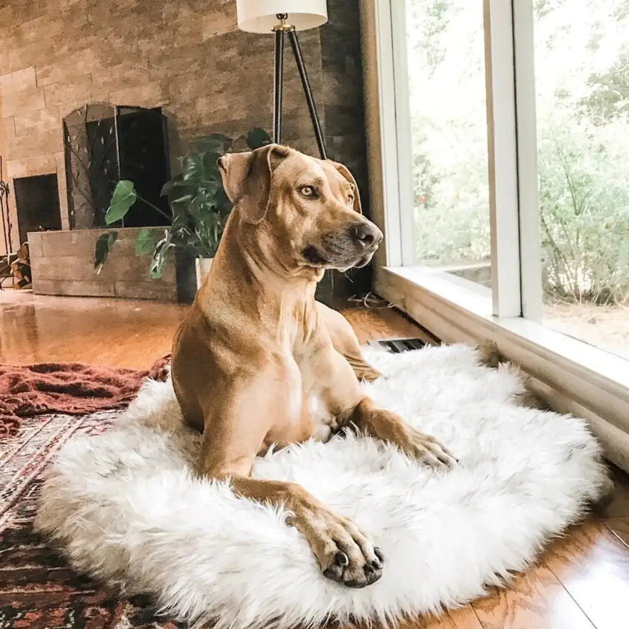 Faux Fur Dog Bed