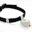 Laser Pointer Pet Pet Collar