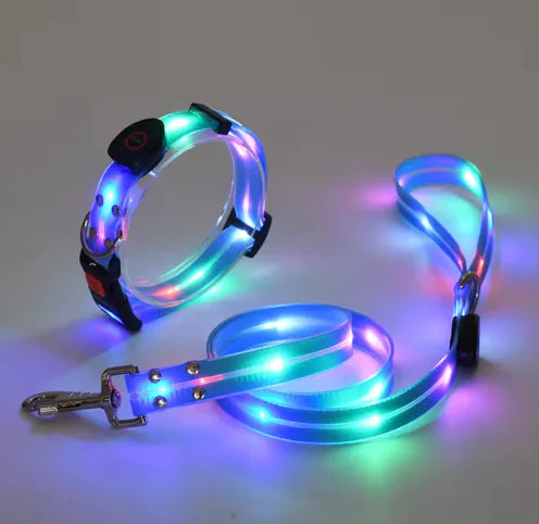 GlowGuard Collar