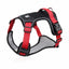 Adjustable Dog Harness Walking Chest Vest