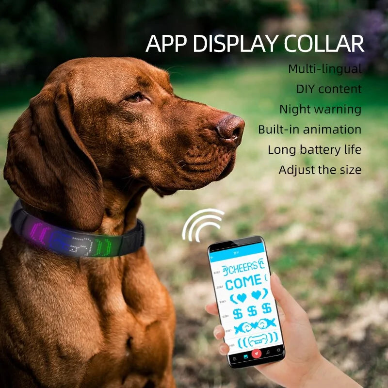 LED Display Pet Collar App Control