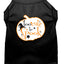 Halloween Pet Dog & Cat Shirt Screen Printed, "Too Cute To Spook"