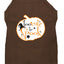 Halloween Pet Dog & Cat Shirt Screen Printed, "Too Cute To Spook"