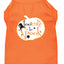 Halloween Pet Dog & Cat Shirt Screen Printed, "Too Cute To Spook"