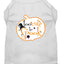 Halloween Pet Dog & Cat Shirt Screen Printed, "Too Cute To Spook"