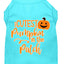 Halloween Pet Dog & Cat Shirt Screen Printed, "Cutest Pumpkin In The Patch"