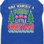 Christmas Pet Dog & Cat Shirt Screen Printed, "Have Yourself A Furry Little Christmas"