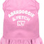 Dog Dress, Dog Dress, Screen Printed, "Aberdoggie & Fetch NY"