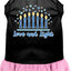 Hanukkah Pet, Dog and Cat Dress Screen Printed, "Love and Light"