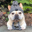 Pet Windproof Knitting Hat