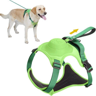 All-in-One Dog Harness