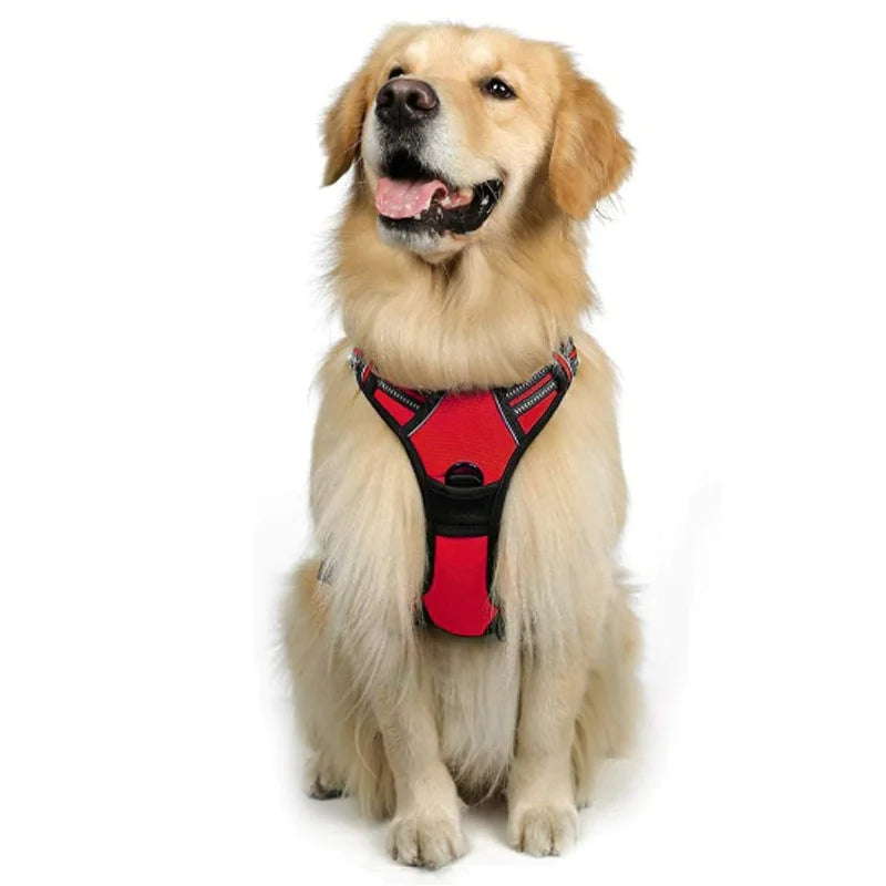 Chest And Back Breathable Reflective Dog Vest