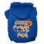 Halloween Pet, Dog & Cat Hoodie Screen Printed, "Cutest Pumpkin In The Patch"