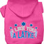 Hanukkah Pet, Dog and Cat Hoodie Screen Printed, "I Like You A Latke"