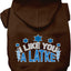 Hanukkah Pet, Dog and Cat Hoodie Screen Printed, "I Like You A Latke"