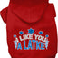 Hanukkah Pet, Dog and Cat Hoodie Screen Printed, "I Like You A Latke"