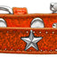 Dog, Puppy & Pet Widget Ice Cream Collar, "Silver Star"