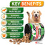 Hemp Hip and Joint Support Supplement for Dogs Glucosamine for Dogs 120 Chews