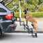 Paw Ramp Foldable Car Ladder