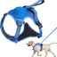 All-in-One Dog Harness