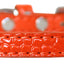 Dog, Puppy & Pet Designer Croc Collar, "Plain 3/8" Wide"