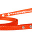 Dog, Puppy & Pet Designer Croc Leash Blank, Plain