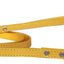 Dog, Puppy & Pet Designer Croc Leash Blank, Plain