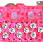 Dog, Puppy and Pet Designer Croc Collar, "Sprinkles Clear Jewel Rimsets"