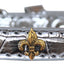 Dog, Puppy & Pet Designer Croc Widget Collar, "Bronze Fleur De Lis"