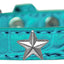 Dog, Puppy & Pet Designer Croc Widget Collar, "Silver Stars"