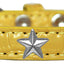 Dog, Puppy & Pet Designer Croc Widget Collar, "Silver Stars"