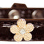 Dog, Puppy & Pet Designer Croc Widget Collar, "Gold Flowers"