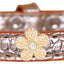 Dog, Puppy & Pet Designer Croc Widget Collar, "Gold Flowers"