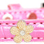 Dog, Puppy & Pet Designer Croc Widget Collar, "Gold Flowers"