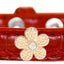 Dog, Puppy & Pet Designer Croc Widget Collar, "Gold Flowers"