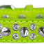 Dog, Puppy and Pet Designer Croc Collar, "Double Crystal & Silver Spikes"