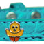 Dog, Puppy & Pet Designer Croc Widget Collar, "Chickadee"