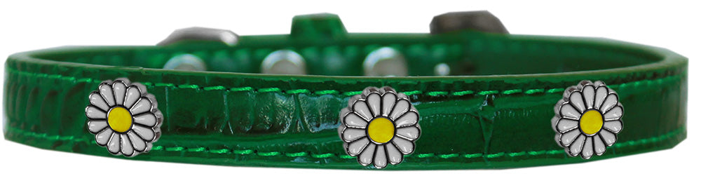 Dog, Puppy & Pet Designer Croc Widget Collar, "White Daisies"