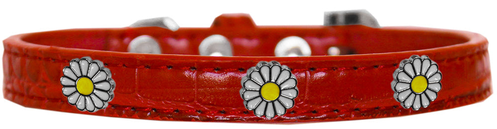 Dog, Puppy & Pet Designer Croc Widget Collar, "White Daisies"