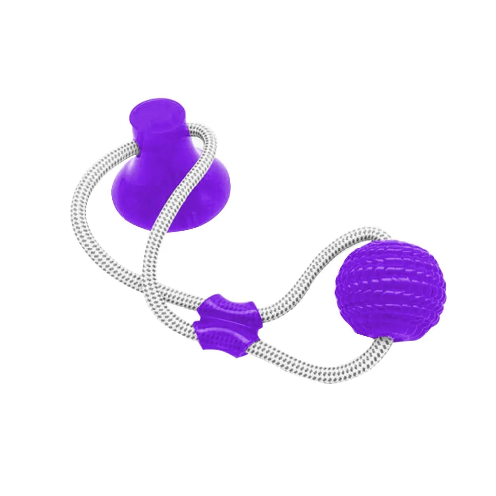 Dog Chew Toy With Suction Cup