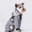 Paw Chic Personalized Raincoat