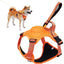 All-in-One Dog Harness