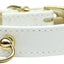 Dog, Puppy and Pet Collar, "#70 Plain, Blank"