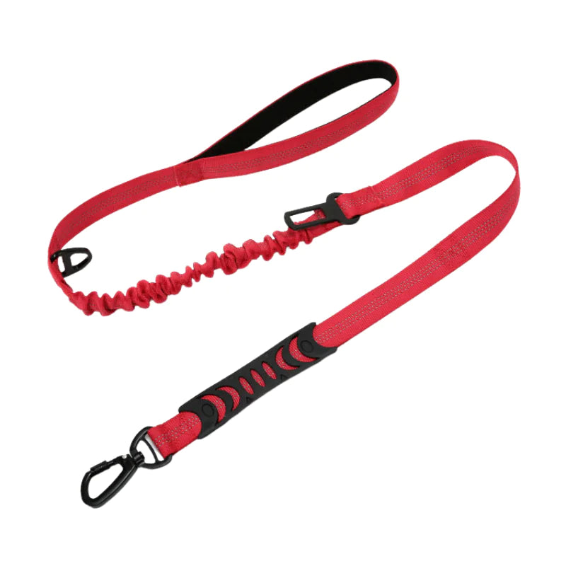 PuppHub Signature Leash