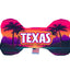 Pet & Dog Plush Bone Toys, "Texas Coast" (Set 1 of 3 Texas State Toy Options, available in different pattern options!)