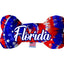 Pet & Dog Plush Bone Toys, "Florida State Options" (Available in different pattern options)