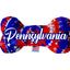 Pet & Dog Plush Bone Toys, "Pennsylvania State Options" (Available in different pattern options)