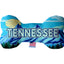 Pet & Dog Plush Bone Toys, "Tennessee State Options" (Available in different pattern options)