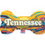 Pet & Dog Plush Bone Toys, "Tennessee State Options" (Available in different pattern options)